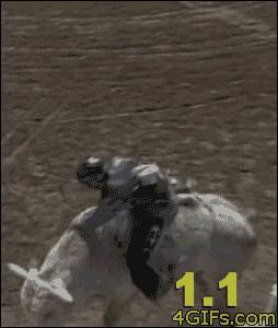 perfect rodeo clown jump