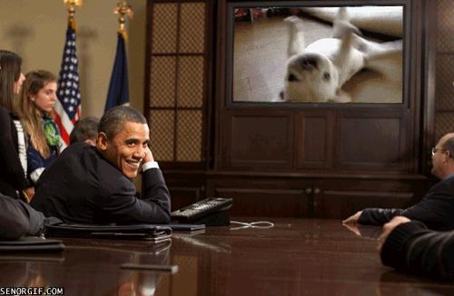 Obama love puppy