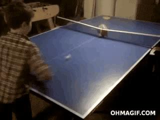 Ping Pong Cat