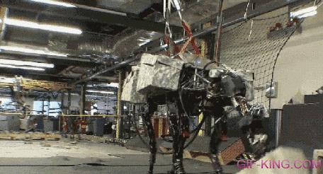 Dynamic Robot