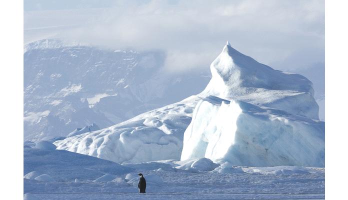 Antarctic Cruises