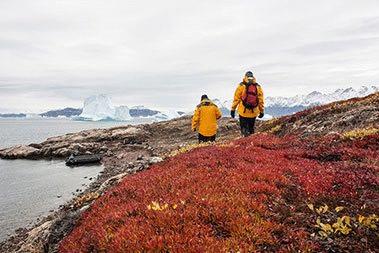 Antarctic Cruises