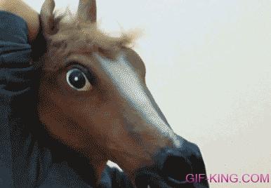 Horse Head Mask