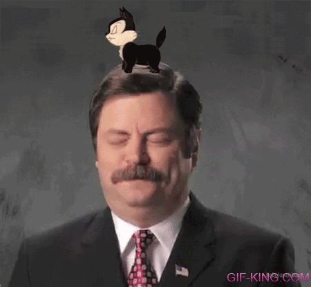 Ron Swanson