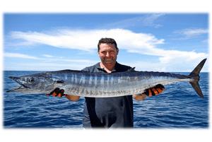 Coral coast charters whitsundays