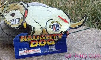 Naughty Dog Pooping Fireworks