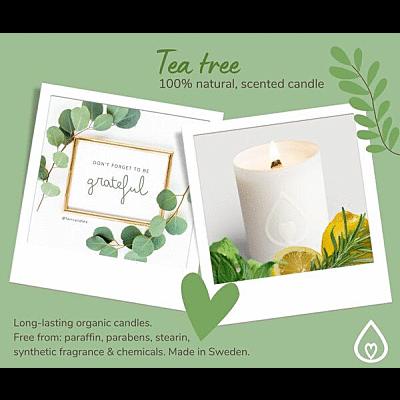 Tea Tree candle