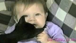 Cat Steals Baby's Food