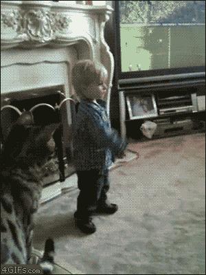 cat attacks kid