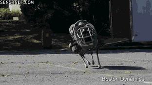 Robot dog