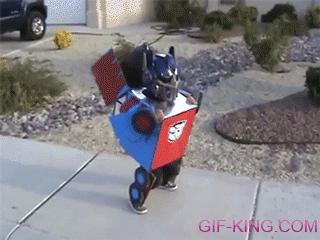 Transformer Kid