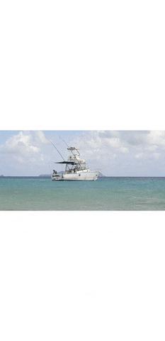 Reef Fishing Charters