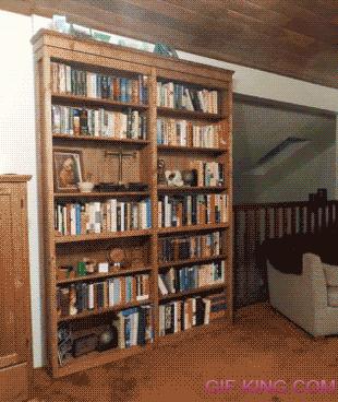 Secret Door Bookcase