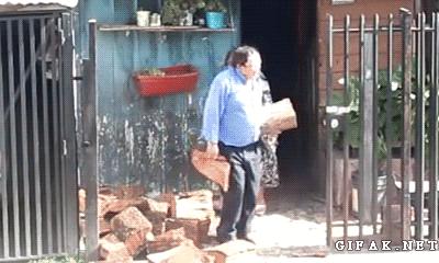 Dog Helps Humans Bring Firewood