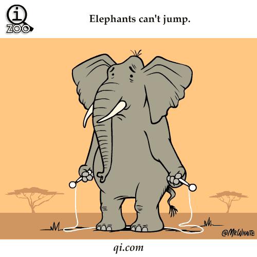 elephants can't jump