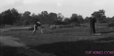 German Shepherd Jumps Over A Fence