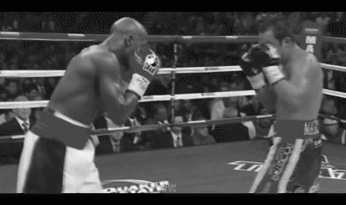 Mayweather vs Canelo highlights