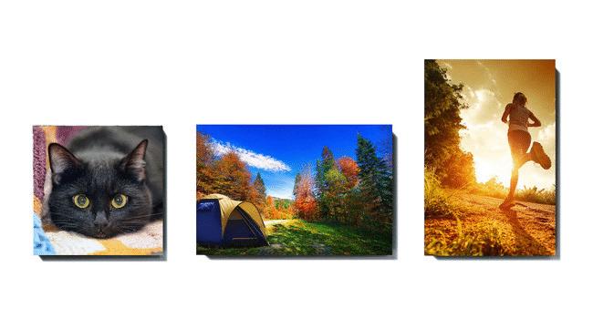 canvas photos, https://printage.cc/