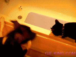 Do You Wanna Take A Bath? Go!