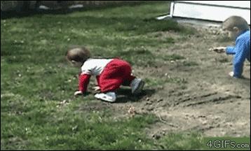 dog knocking over kid