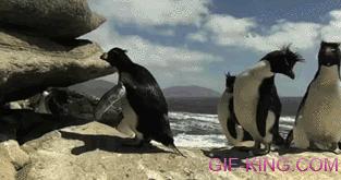 Penguins Fail