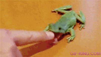 frog play with my finger