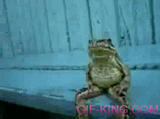 Frog Chilling Like A Human
