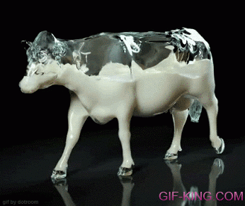 glass cow