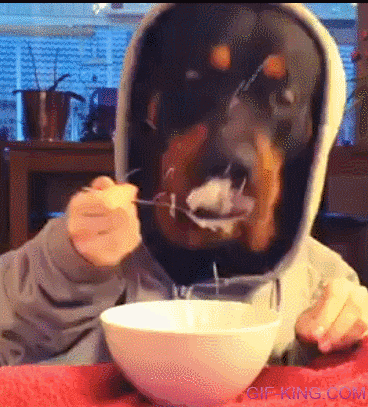 Dog Eating Cereal