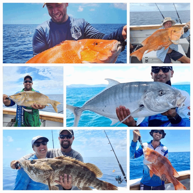 Half Day Fishing Charters