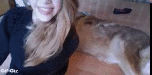 Lying On A Dog