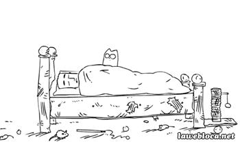 simon's cat