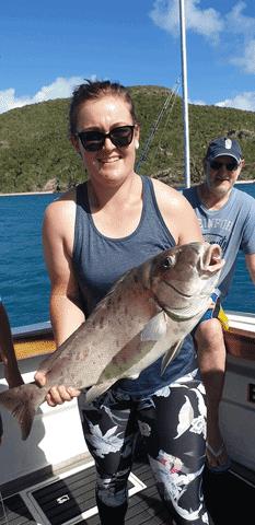 Reef Fishing Charters