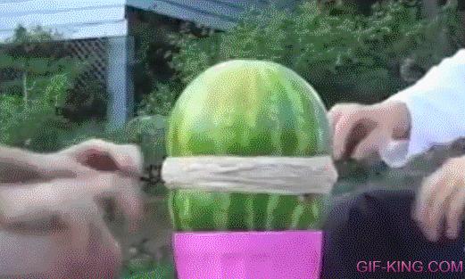 Watermelon And Rubberbands