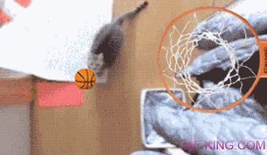 Cat Slam Dunk