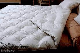 White down comforter