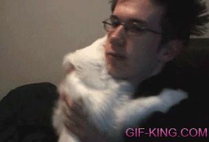 cat doesn't want to stop hugging